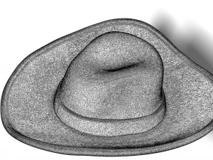 cowboy hat 3D Print Model