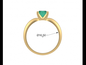 female ring 3D Druckmodell