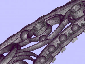 brooch cocumber 3D Print Model