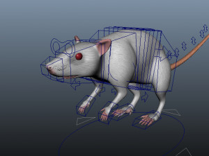 mouse 3D Model