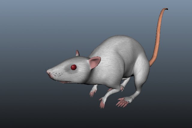 mouse Low-poly 3D Model