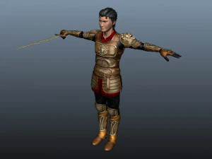 hero knight 3D Model