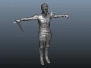 hero knight 3D Model