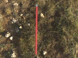 3d pencil 3D Model