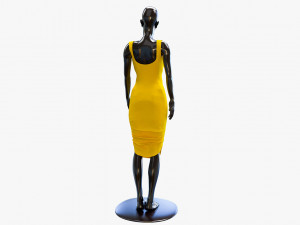dress 3D Model