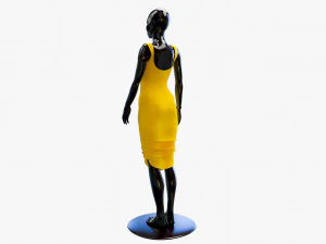 dress 3D Model
