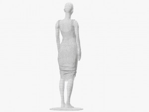 dress 3D Model