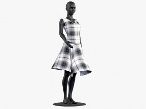 dress 3D 모델