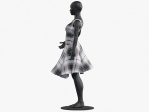 dress 3D Model