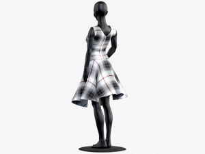 dress 3D Model
