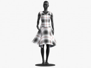 dress 3D Model