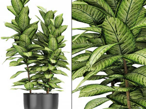 saksıda bitki saksı egzotik bitki 3D Model