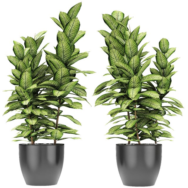 plant in pot flowerpot exotic plant Modelo 3D .c4d .max .obj .3ds .fbx .stl .blend 