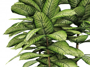 plant in pot flowerpot exotic plant Modelo 3D