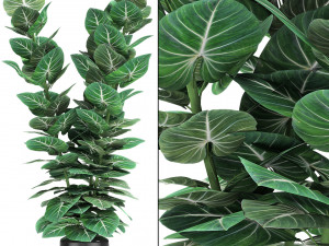plant in pot flowerpot exotic plant 3D Model