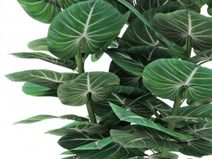 plant in pot flowerpot exotic plant 3D Model