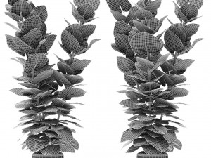 plant in pot flowerpot exotic plant Modelo 3D