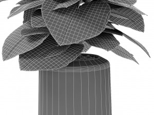 plant in pot flowerpot exotic plant Modelo 3D