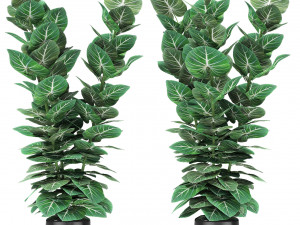 plant in pot flowerpot exotic plant 3D Model