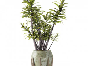 tanam di pot bunga tanaman eksotik Model 3D