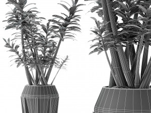 plant in pot flowerpot exotic plant 3D 모델