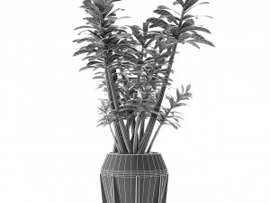 plant in pot flowerpot exotic plant 3D 모델
