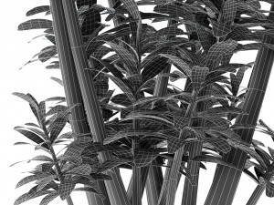 plant in pot flowerpot exotic plant 3D 모델