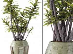 рослина в горщику вазон екзотична рослина 3D Модель