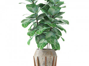 plant in pot flowerpot exotic plant 3D Model