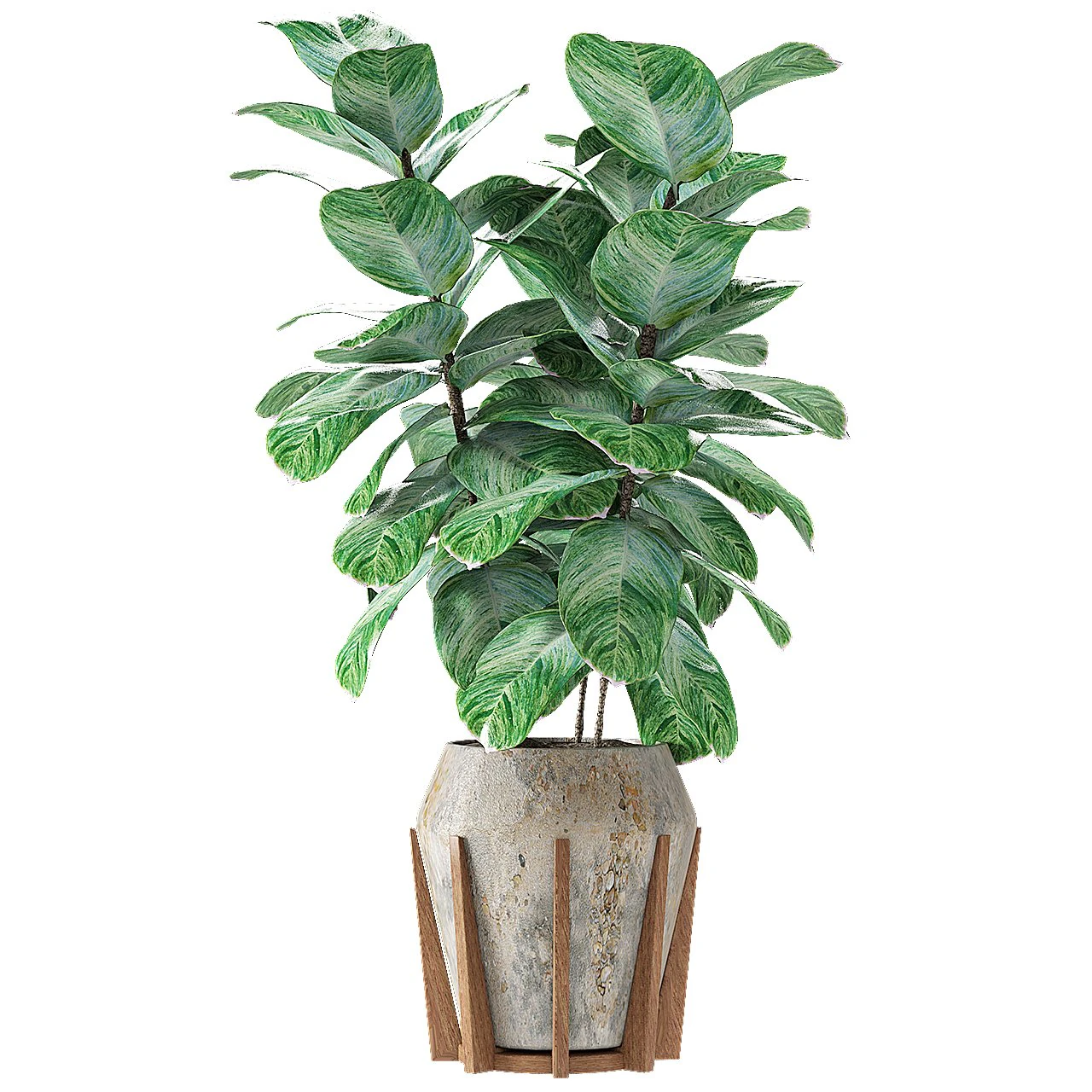 plant in pot flowerpot exotic plant 3D Model .c4d .max .obj .3ds .fbx .stl .blend