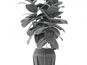 plant in pot flowerpot exotic plant 3D Model