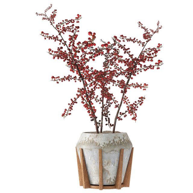 plant in pot flowerpot exotic plant 3D मॉडल .c4d .max .obj .3ds .fbx .stl .blend 
