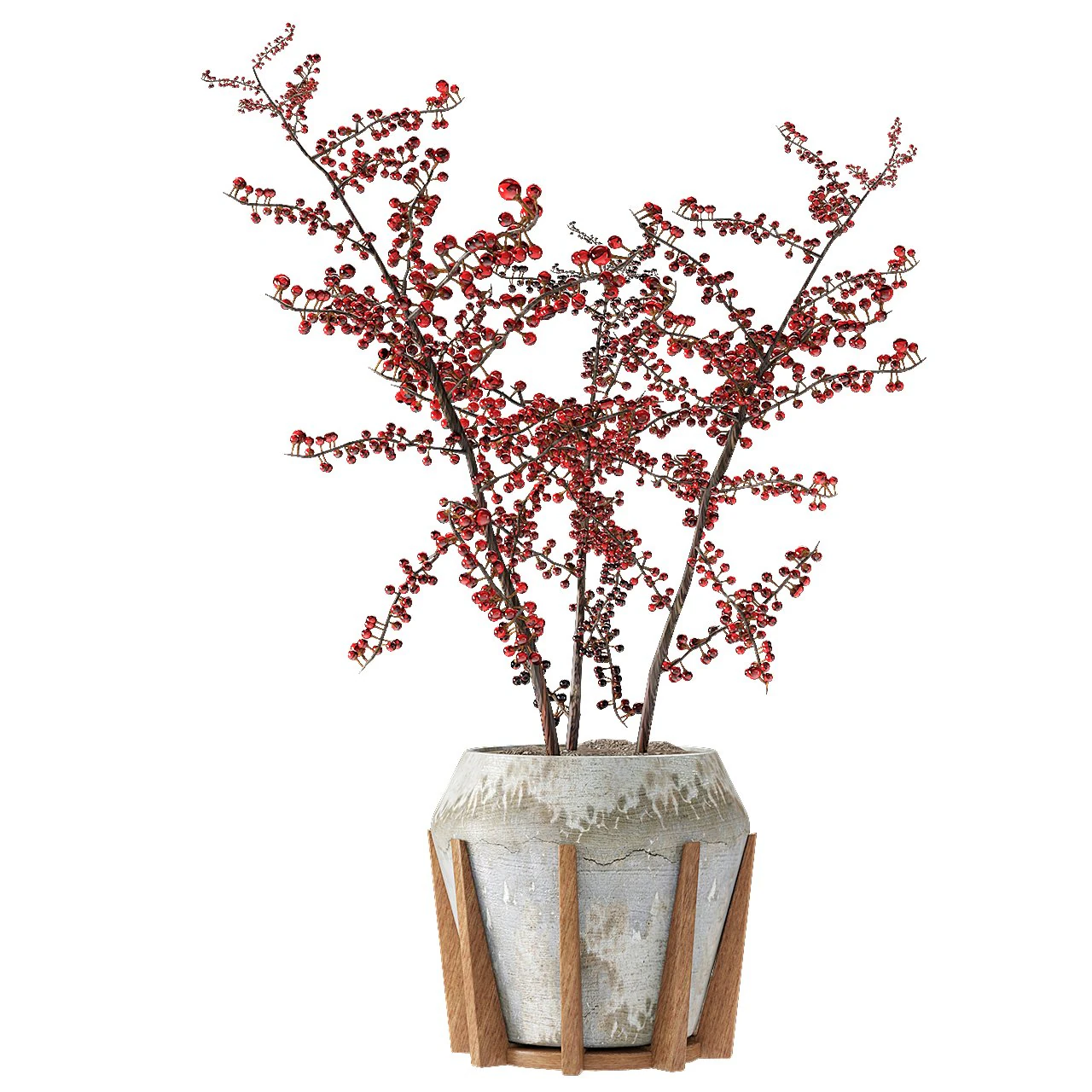 plant in pot flowerpot exotic plant 3D Model .c4d .max .obj .3ds .fbx .stl .blend 