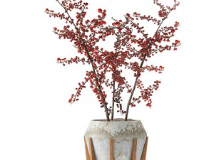 pianta in vaso di fiori pianta esotica Modello 3D