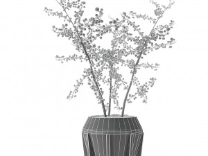 plant in pot flowerpot exotic plant 3D मॉडल