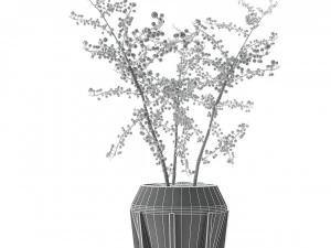 plant in pot flowerpot exotic plant 3D Model