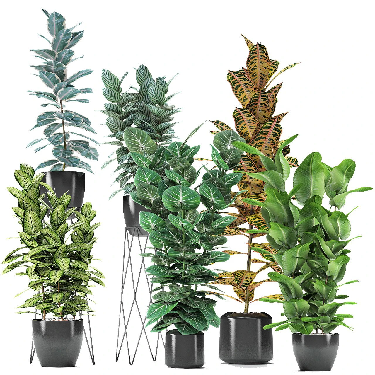 plant in pot flowerpot exotic plant 3D Model .c4d .max .obj .3ds .fbx .stl .blend 