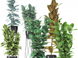 plant in pot flowerpot exotic plant 3D Model