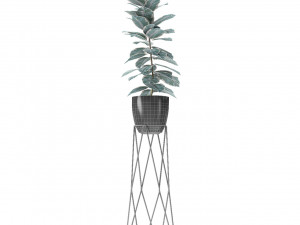 plant in pot flowerpot exotic plant Modelo 3D