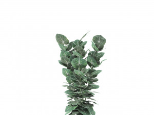 plant in pot flowerpot exotic plant Modelo 3D
