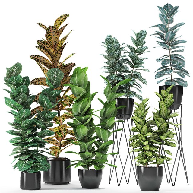 plant in pot flowerpot exotic plant Modèle 3D .c4d .max .obj .3ds .fbx .stl .blend 