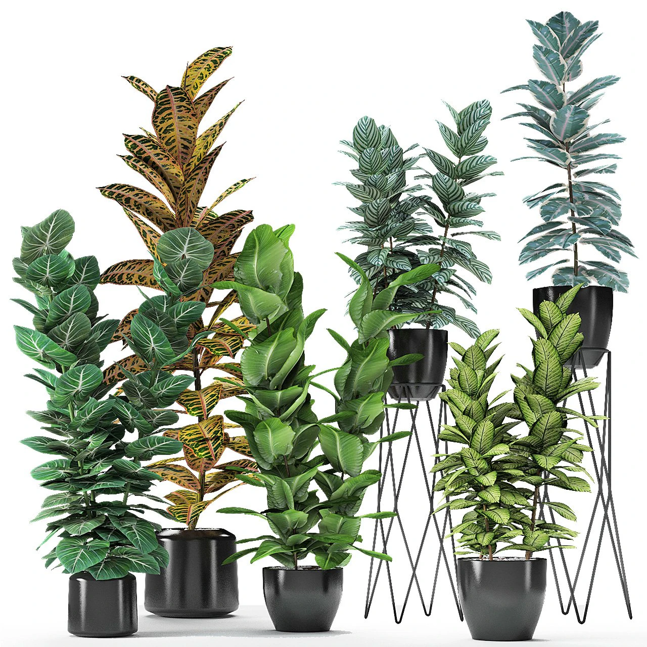 plant in pot flowerpot exotic plant 3D Model .c4d .max .obj .3ds .fbx .stl .blend 