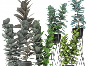 plant in pot flowerpot exotic plant Modèle 3D