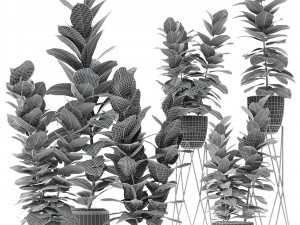 plant in pot flowerpot exotic plant Modèle 3D
