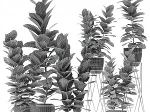 plant in pot flowerpot exotic plant 3D Model