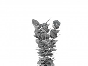 plant in pot flowerpot exotic plant Modèle 3D