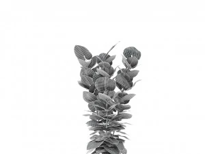 plant in pot flowerpot exotic plant 3D Model