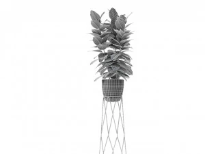 plant in pot flowerpot exotic plant 3D Model