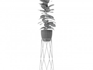 plant in pot flowerpot exotic plant Modèle 3D