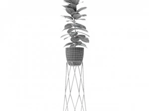 plant in pot flowerpot exotic plant 3D Model